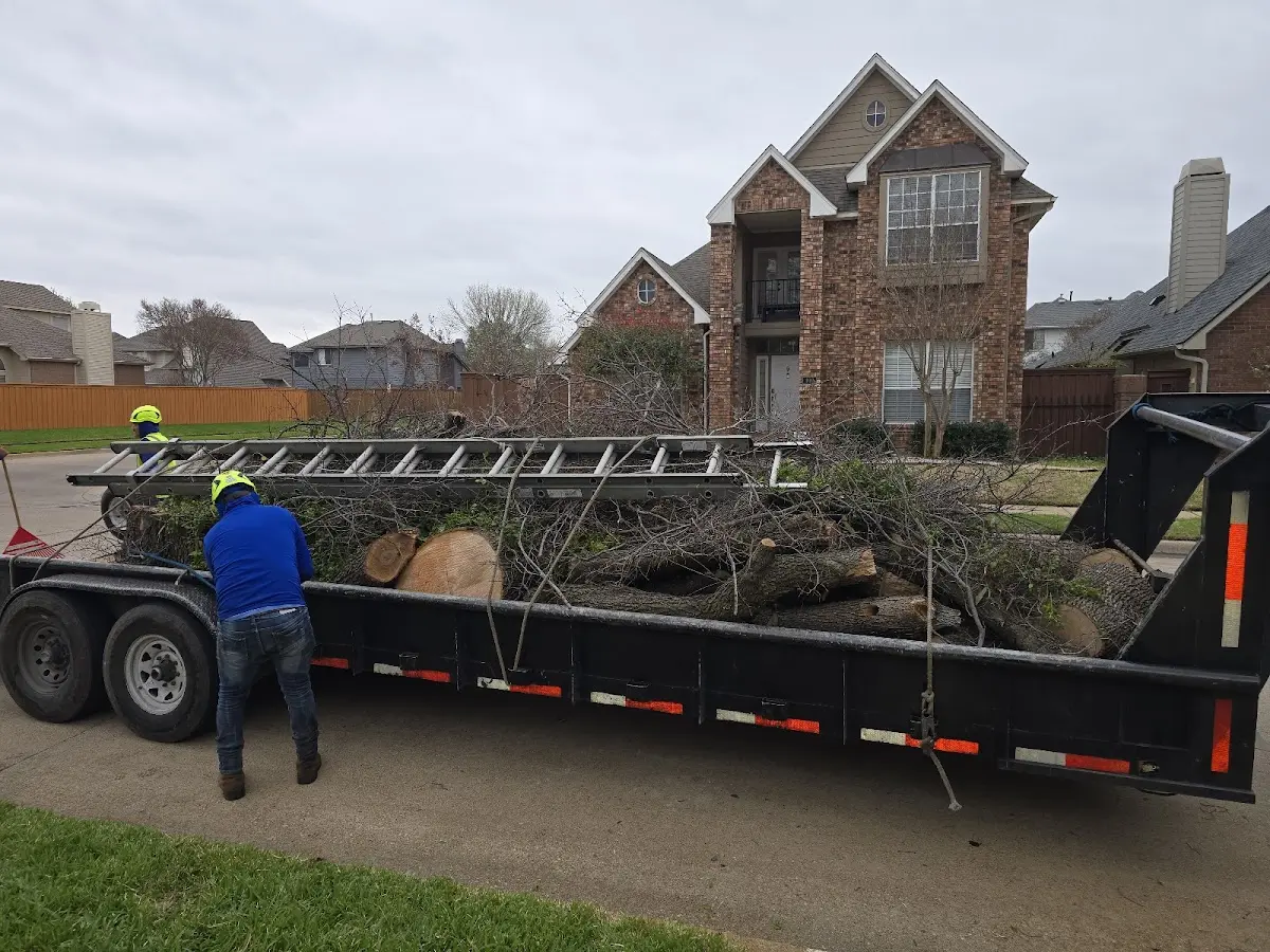 Expert Lot Clearing with proper safety equipment in Fowlerton